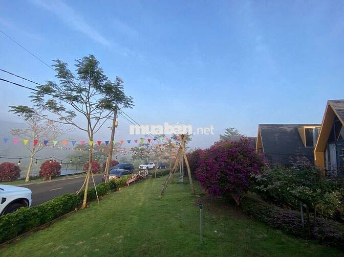 Bán 1000m2 đất TP. Bảo Lộc, thổ cư, sổ sẵn, đường nhựa, dân cư đông