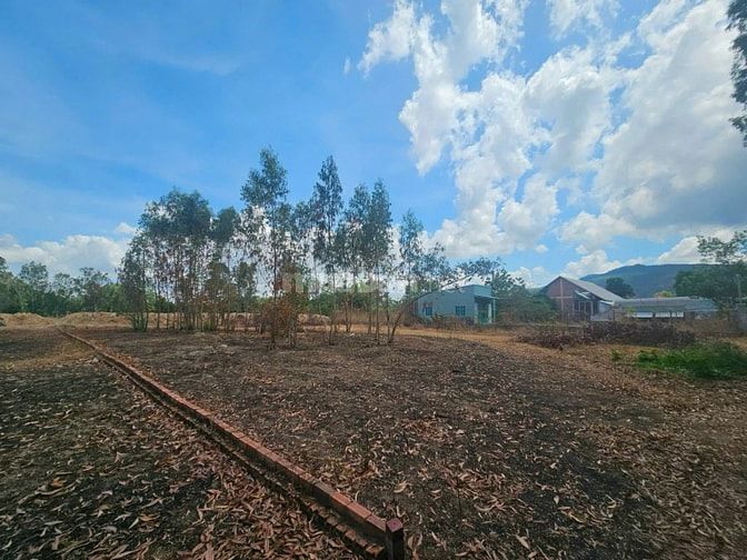 Công ty Đấu giá hợp danh Lam Sơn Sài Gòn THÔNG BÁO ĐẤU GIÁ TÀI SẢN