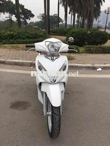 bán xe shark  nguyên bản