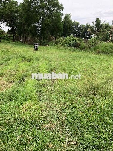 Bán đất xã Tân An Hội Củ Chi Thành phố hồ Chí Minh