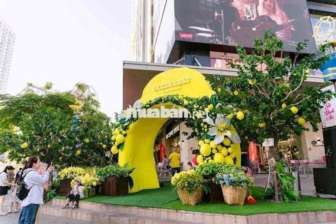 HÀNG HIẾM ĐÃ CÓ SỔ ĐỎ - BÁN CĂN STUDIO VIEW BIỂN THÁP NAM TOÀ GOLDCOAS