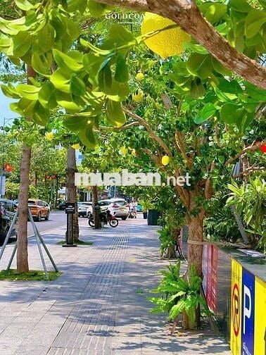 HÀNG HIẾM ĐÃ CÓ SỔ ĐỎ - BÁN CĂN STUDIO VIEW BIỂN THÁP NAM TOÀ GOLDCOAS