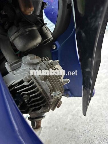 SYM Elegant 50cc 2023 Xanh