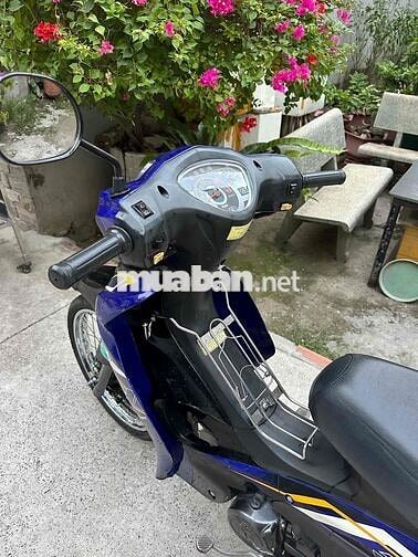 SYM Elegant 50cc 2023 Xanh