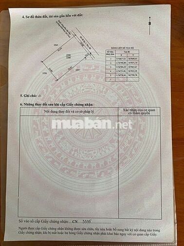 Đất lúa giáp đường 8 mét công cộng