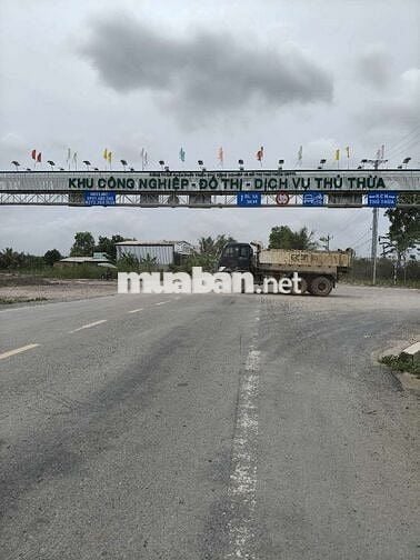 Đất lúa giáp đường 8 mét công cộng