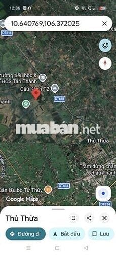 Đất lúa giáp đường 8 mét công cộng