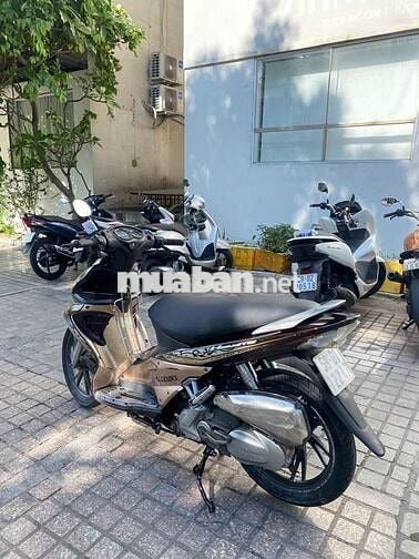 Suzuki hayate nguyện gin