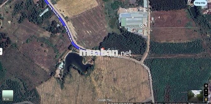 658m2 Đất Mặt Tiền Đ.Thanh Bình Hố Nai 3 Trảng Bom Cũ - 1.9 Tỷ