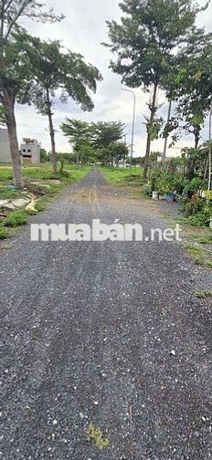 GIA ĐÌNH CẦN BÁN GẤP LÔ ĐẤT SHR 5 X20 ĐÃ CÓ SỔ RIÊNG , FULL THỔ 