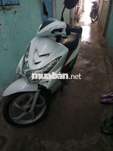 Yamaha Luvias màu Trắng