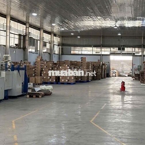 Cho thuê kho Nguyễn Hữu Thọ – 1000m2 –  container hoạt động 24/7