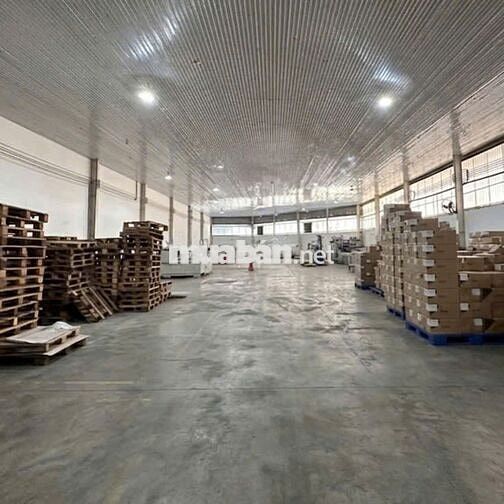 Cho thuê kho Nguyễn Hữu Thọ – 1000m2 –  container hoạt động 24/7