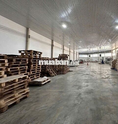 Cho thuê kho Nguyễn Hữu Thọ 1500m2 kho logistics cao cấp 