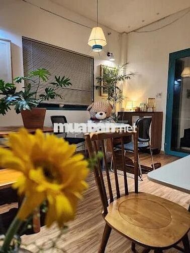 SIÊU PHẨM MẶT TIỀN QUẬN 3 – TỌA ĐỘ VÀNG KHỞI SỰ KINH DOANH THÀNH CÔNG