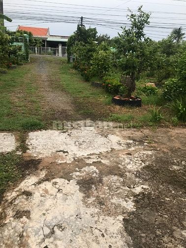 Đất vườn có thổ và nhà cấp 4, MT đường tại biển Tân Thành,Gò Công Đông