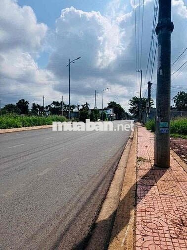 CHO THUÊ MẶT BẰNG, KHO XƯỞNG NGUYÊN CĂN - MẶT TIỀN ĐƯỜNG MAI THỊ LỰU