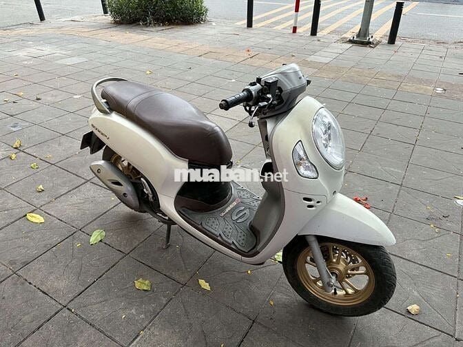 bán xe Scoopy trắng
