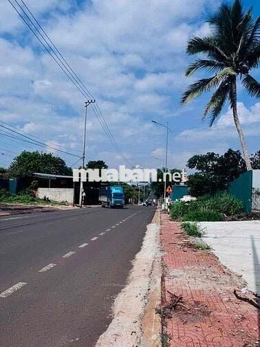 CHO THUÊ MẶT BẰNG, KHO XƯỞNG NGUYÊN CĂN - MẶT TIỀN ĐƯỜNG MAI THỊ LỰU