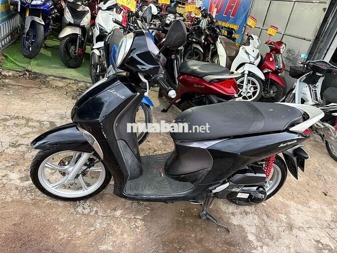 Yamaha Janus 125 / Zin Êm Bs65