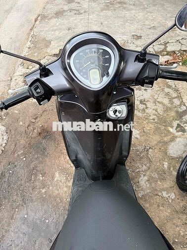 Yamaha Janus 125 / Zin Êm Bs65