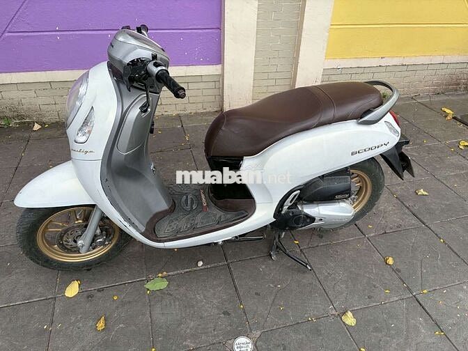 bán xe Scoopy trắng