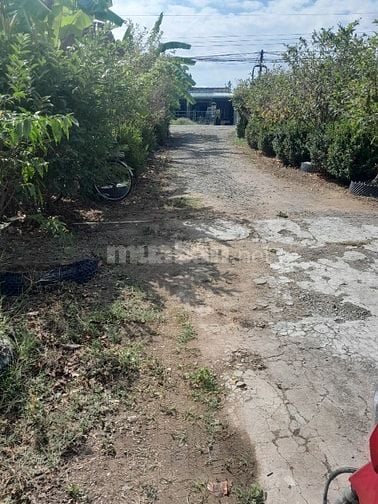 Đất vườn có thổ và nhà cấp 4, MT đường tại biển Tân Thành,Gò Công Đông