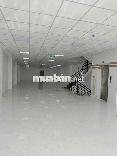 🏦CHO THUÊ TOÀ NHÀ 1 HẦM 6 TẦNG 1600m2 MẶT TIỀN TRẦN HƯNG ĐẠO CẦN THƠ