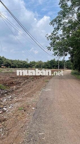 Kẹt tiền bán gấp 100m2 thổ cư toàn bộ,p Bình Lộc,tp Đồng Nai