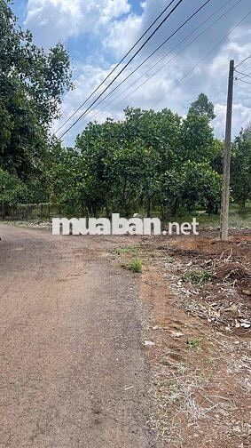 Kẹt tiền bán gấp 100m2 thổ cư toàn bộ,p Bình Lộc,tp Đồng Nai