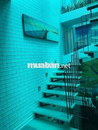 🏠Cho thuê nhà nguyên căn đường Bùi Minh Trực P6 Q8 cũ , phường Bình Đô