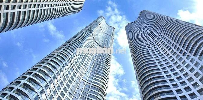 ✅✅  BÁN 977M² ĐẤT MT ĐỒNG XOÀI – SẴN KHO & VP – GIÁ RẺ NHẤT: 50TR/M²