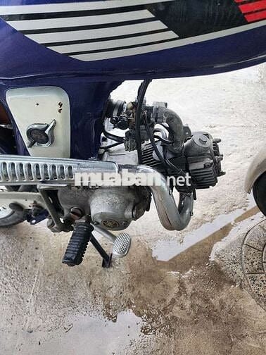 Honda màu Xanh dương