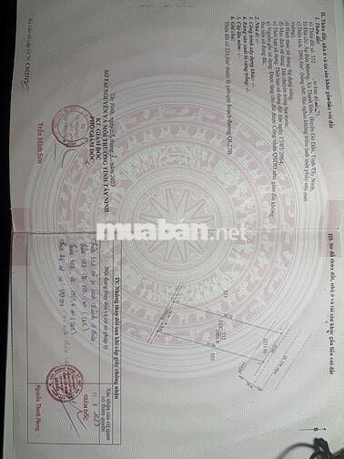 CHÍNH CHỦ BÁN ĐẤT MẶT TIỀN QL22B