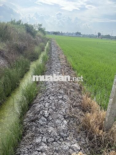 CHÍNH CHỦ BÁN ĐẤT MẶT TIỀN QL22B