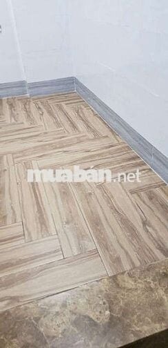 Cho thuê nhà nguyên căn.Đường Quang Trung, Phường 8. Quận Gò Vấp. 
