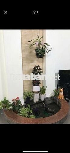 NHÀ 3 PHÒNG NGỦ - HẺM LÊ HỒNG PHONG - NỘI THẤT CƠ BẢN