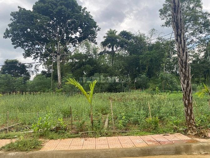 CẦN BÁN LÔ GÓC 3 MẶT TIỀN ĐẸP NHẤT PHỐ NGỌC MINH & THỊ TRẤN NGỌC LẶC