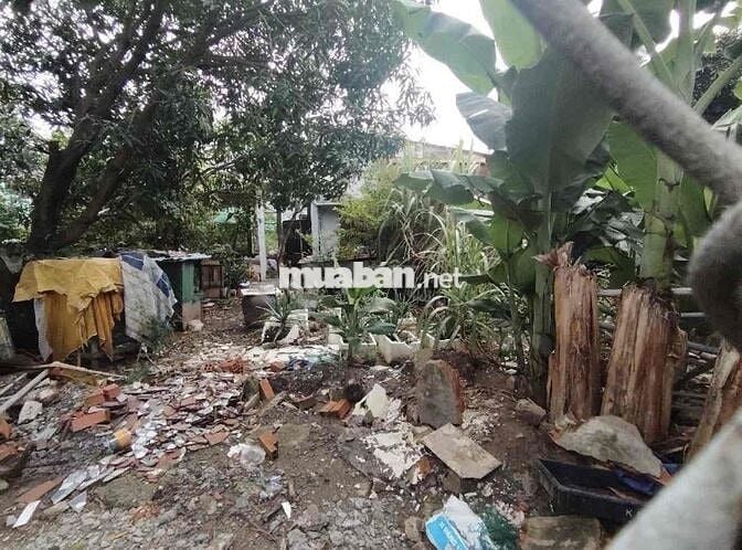 🏡 ĐẤT HƠN 1000m² TT Nhà Bè – Giá 20.9 Tỉ còn thương lượng  ✨ Hẻm 1716