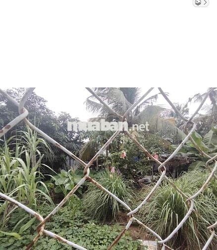 🏡 ĐẤT HƠN 1000m² TT Nhà Bè – Giá 20.9 Tỉ còn thương lượng  ✨ Hẻm 1716