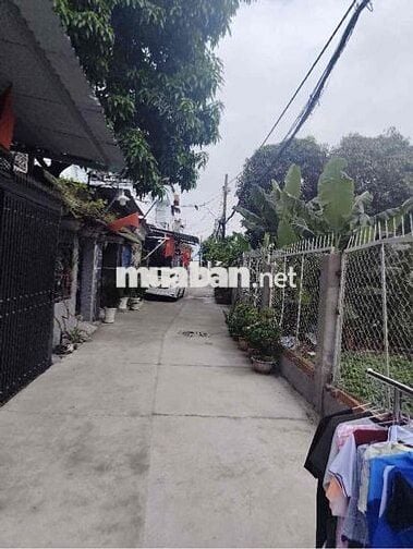 🏡 ĐẤT HƠN 1000m² TT Nhà Bè – Giá 20.9 Tỉ còn thương lượng  ✨ Hẻm 1716