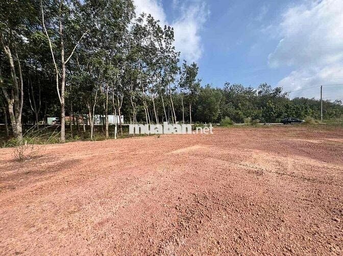 bán gấp lô đất mặt đường nhựa 12m