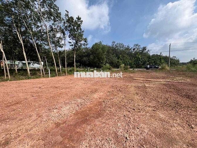bán gấp lô đất mặt đường nhựa 12m