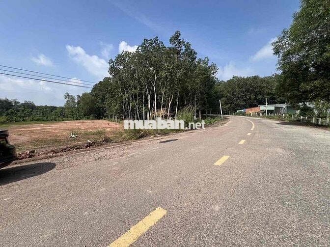 bán gấp lô đất mặt đường nhựa 12m