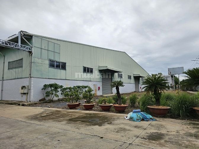 Chính chủ cho thuê xưởng KCN Bến Lức, Long An – 4.200m²