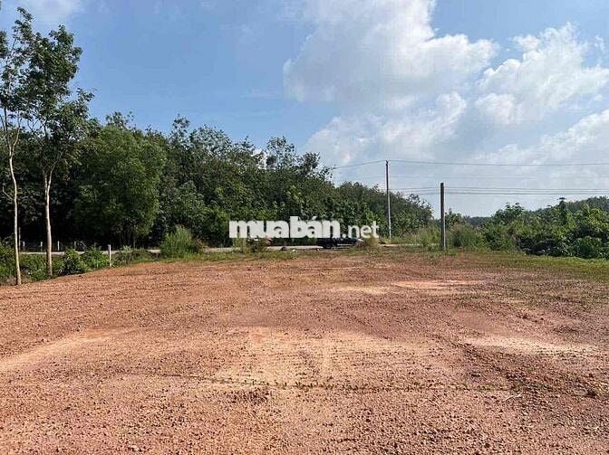 bán gấp lô đất mặt đường nhựa 12m