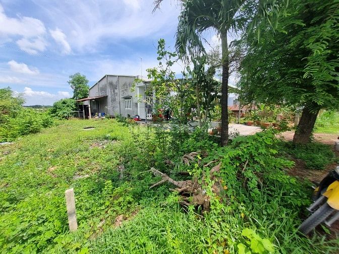 6x51 thổ cư, đường nhựa lớn. Đất đẹp xây trọ. 1,5 tỷ 