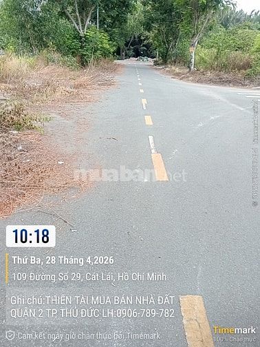 BÁN ĐẤT NỀN D/A KHU 50HA P CÁT LÁI QUẬN 2 CỦ, GIÁ 67TR/M