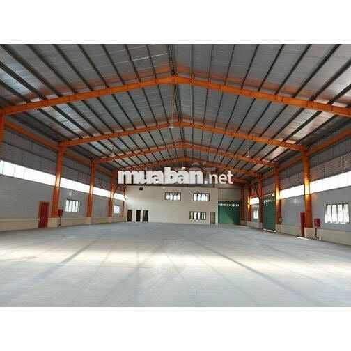 CHO THUÊ NHÀ KHO 390M2 TẠI LIÊN CHIỂU – GIÁ RẺ CHỈ 19 TRIỆU/THÁNG 