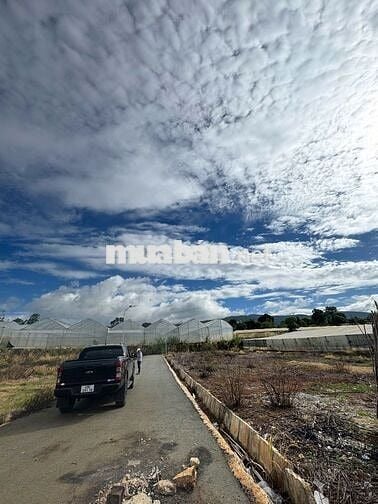 Đất nghỉ dưỡng view đẹp ven Đà Lạt